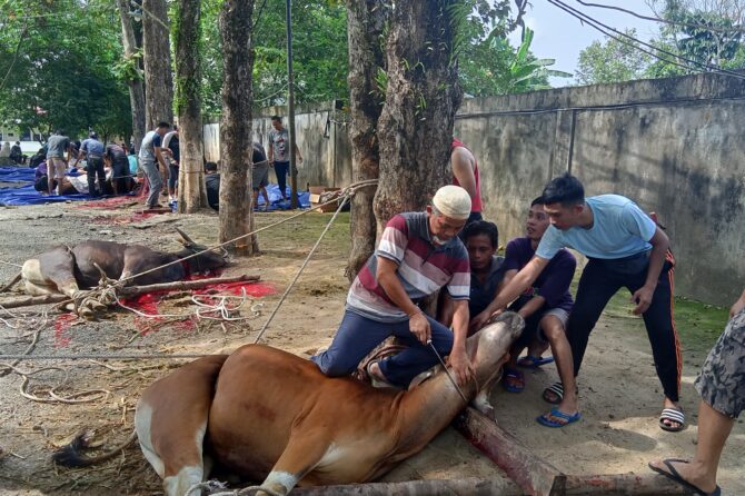 RS AR BUNDA PRABUMULIH TEBAR +1.200 PAKET DAGING KURBAN DI IDUL ADHA 1445 H